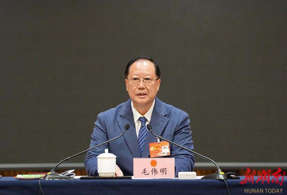 毛伟明参加常德市代表团审议