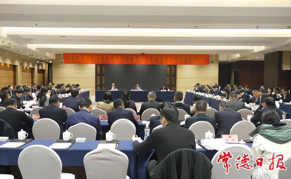 常德代表团集中审议政府工作报告