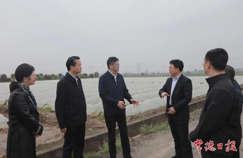 罗毅君赴桃源县调研