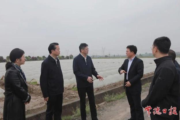 罗毅君赴桃源县调研