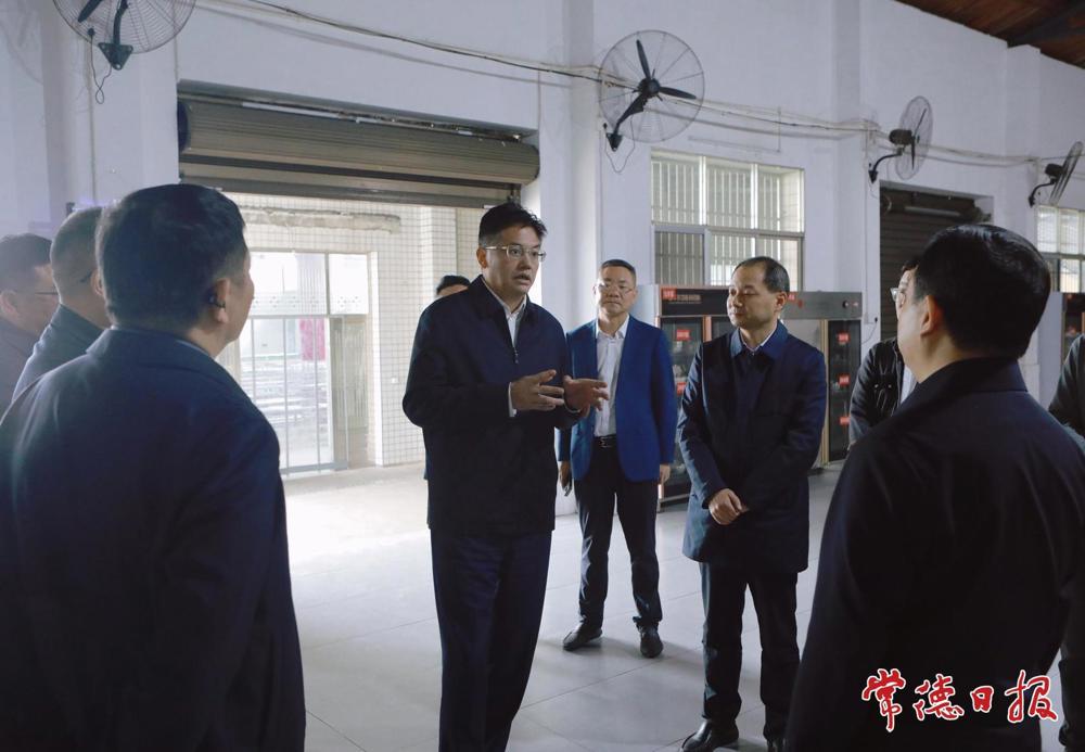 罗毅君在桃源县调研
